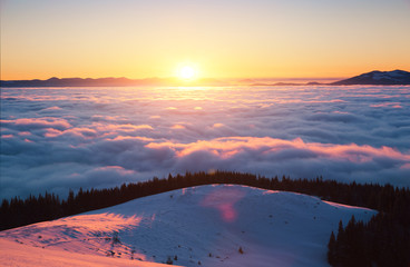 Incredible air view of the valley with dense fog. Location Carpathian mountain, Ukraine, Europe.
