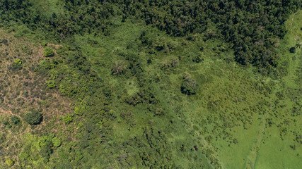 Aerial view to cleared pasture land and rests of Atlantic forest in the hinterland of Paraty, Green coast, Brazil © Uwe Bergwitz