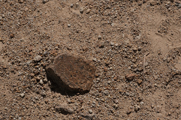 A small stone with the remains of petroglyphs on a hiking trail by the Mars Mountain in the Altai Republic.