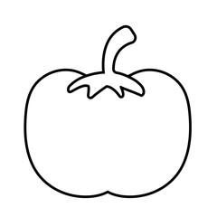 Isolated tomato vegetable vector design