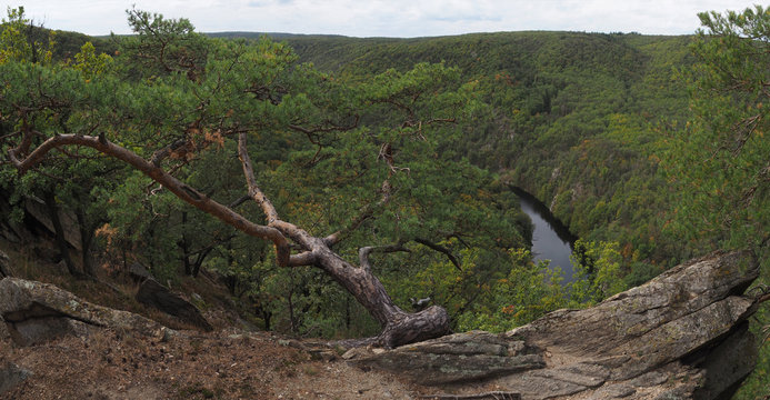 Nationalpark Thayatal/Podyj&iacute;; Sealsfield-Stein