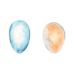 Two realistic isolated chicken eggs, white-blue and light-beige.  Watercolor hand painted elements isolated on white background.