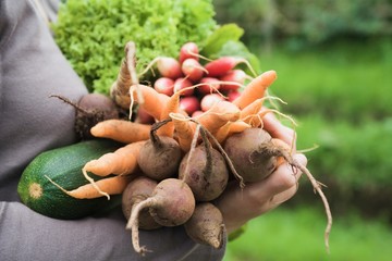 Woman With Freshly Harvested Vegetables