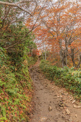 秋の天神峠から谷川岳への登山道からみた風景