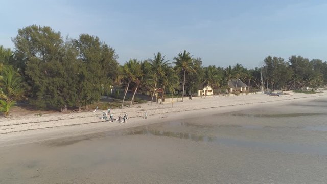 Aerial pull back of local people cleaning African tropical beach coastline