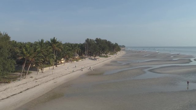 Aerial pullback of local people cleaning African tropical beach at low tide