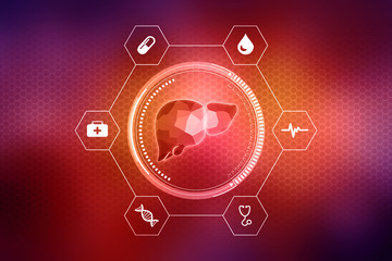 Realistic human liver 2d illustration