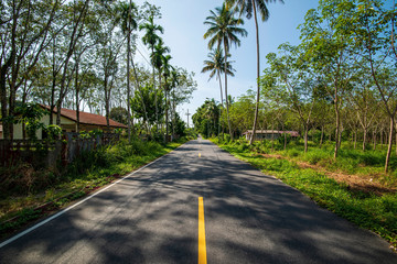 Road to Thailand national park, Phuket.