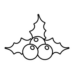 Merry christmas berries with leaves vector design