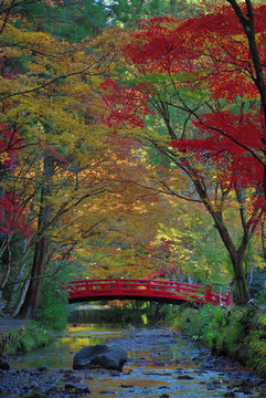 45 Best 小國神社 Images Stock Photos Vectors Adobe Stock