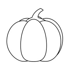 Isolated pumpkin fruit vector design