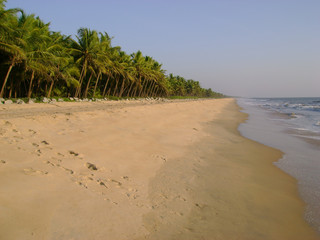 beautiful shoreline at kerala