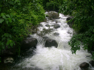 beautiful gushing river flow in kerala during monsoon