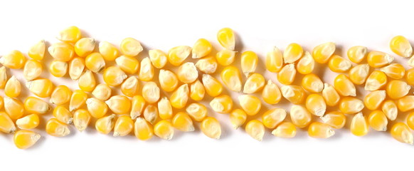 Raw corn kernels for popcorn isolated on white background, top view