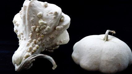 Calabazas blancas decorativas