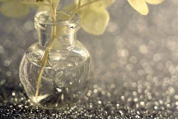 transparent stole jar on a silver background