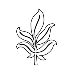 Isolated autumn leaf vector design