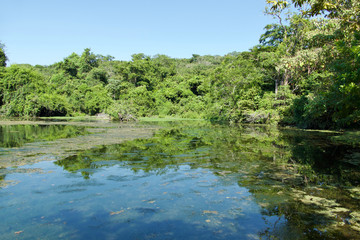 Natural Landscape in Bonito, state of Mato Grosso do Sul, Brazil