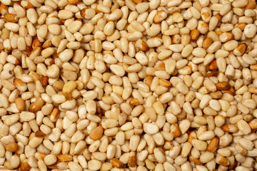 Background of cedar pine nuts 