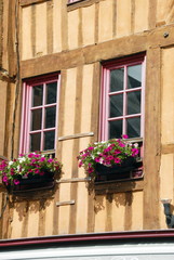 Fototapeta na wymiar Ville de Domfront-en-Poiraie, façades à colombages de la vieille ville, fleurs aux fenêtres, département de l'Orne, france