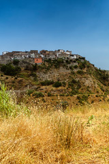 Fototapeta na wymiar Summer landscape in Calabria, Italy, near Tarsia