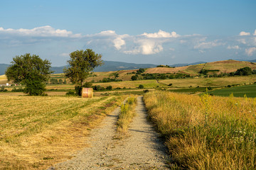 Fototapeta premium Summer landscape along the road to Camigliatello, Sila