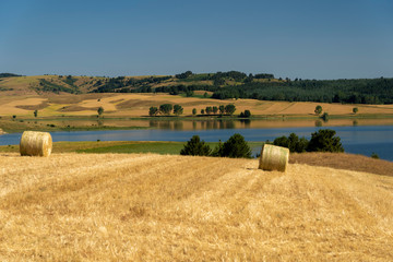 Summer landscape along the road to Camigliatello, Sila. Cecita lake