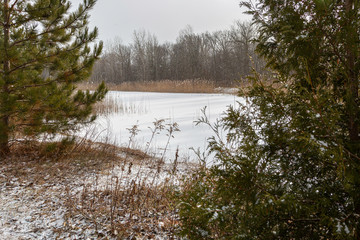 Winters day at the Pond