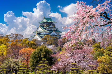 Naklejka premium Wiśniowe kwiaty i zamek w Osace w Japonii.