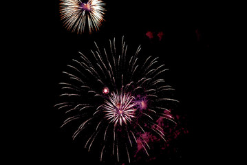 Fireworks, salute. With the black sky background . Abstract holiday backgrounds
