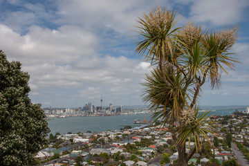 Fototapeta na wymiar Auckland New Zealand. View from Devonport. Skyline