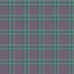 seamless pattern. Seamless gingham Pattern. Vector illustrations. Texture from squares/ rhombus for - tablecloths, blanket, plaid, cloths, shirts, textiles, dresses, paper, posters.