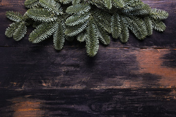 Top view shot of traditional christmas pine tree branches with visible fir structure, copy space for text. Close up, background, cropped image, flat lay.