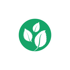 Mint leaves flat vector color icon