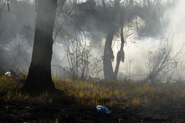 Nature near Ukrainian capital. Trash burning. Air pollution. Environmental contamination. Illegal junk dump. Near Kiev, Ukraine