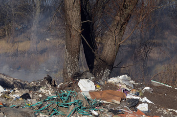 Nature near Ukrainian capital. Trash burning. Air pollution. Environmental contamination. Illegal junk dump. Near Kiev, Ukraine