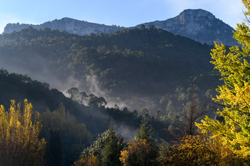 Elevated view of trees on mountain, Sierra De Cazorla, Jaen Province, Spain