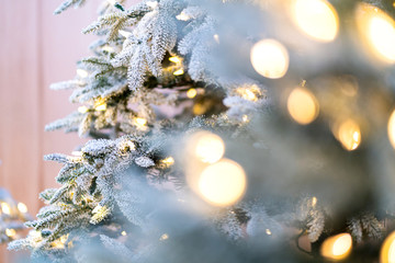 Fototapeta na wymiar close up christmas tree with snow and light decorating with blur bokeh background