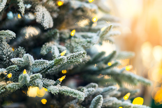 close up christmas tree with snow and light decorating with blur bokeh background