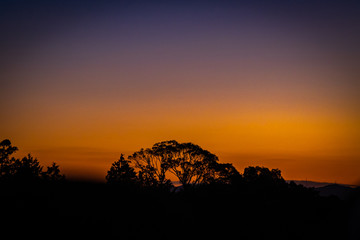 Sunset tree at dusk with orange and blue sky color in Kyoto, Japan.