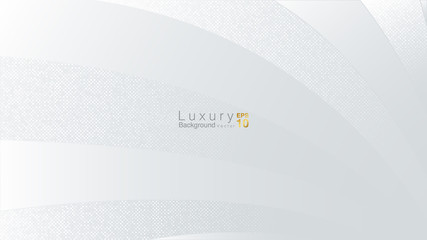 white and Grey Luxury Background Concept. Vector EPS 10