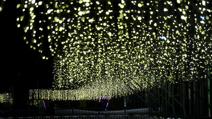 都会のイルミネーション　渋谷リバーストリート「光のすだれ道」