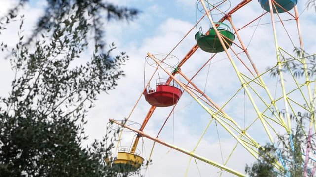 The Ferris wheel through the green trees