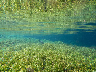 Natural aquarium at Bonito, State of Mato Grosso do Sul, Brazil