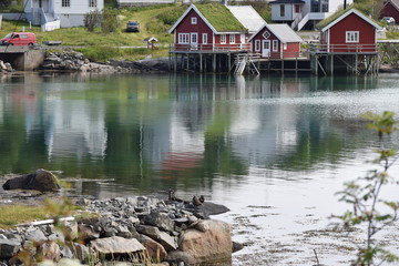 Fototapeta na wymiar Red Houses in Norway