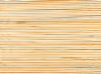 Texture of light tree trunks. Abstract background for design