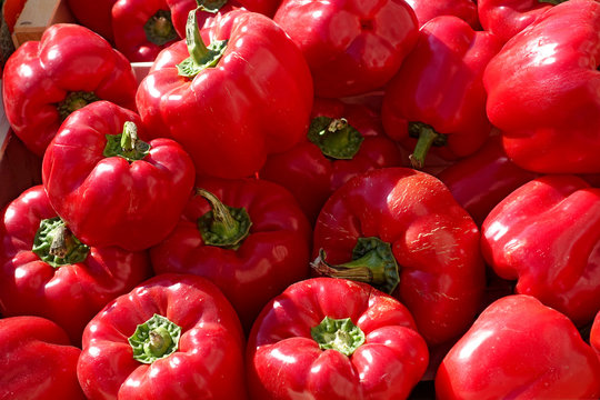 poivrons rouge