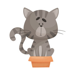 Cat Sitting Inside Small Cardboard Box Peeping Out Vector Illustration. Curious Kitty and Carton Box