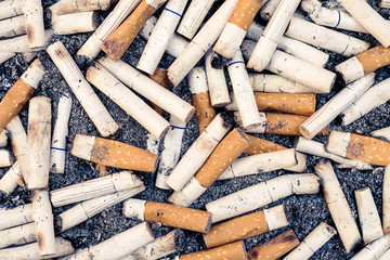 Cigarette butts. Smoking kills.