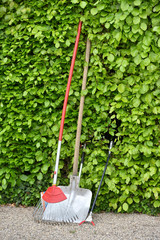 Garden tools shovel, rake and tongs stand against a hedge in a garden with text space, in a public...